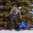Pantalon de ski de neige Gusti Youth Winter Apparel en noir taille 10 bretelles amovibles