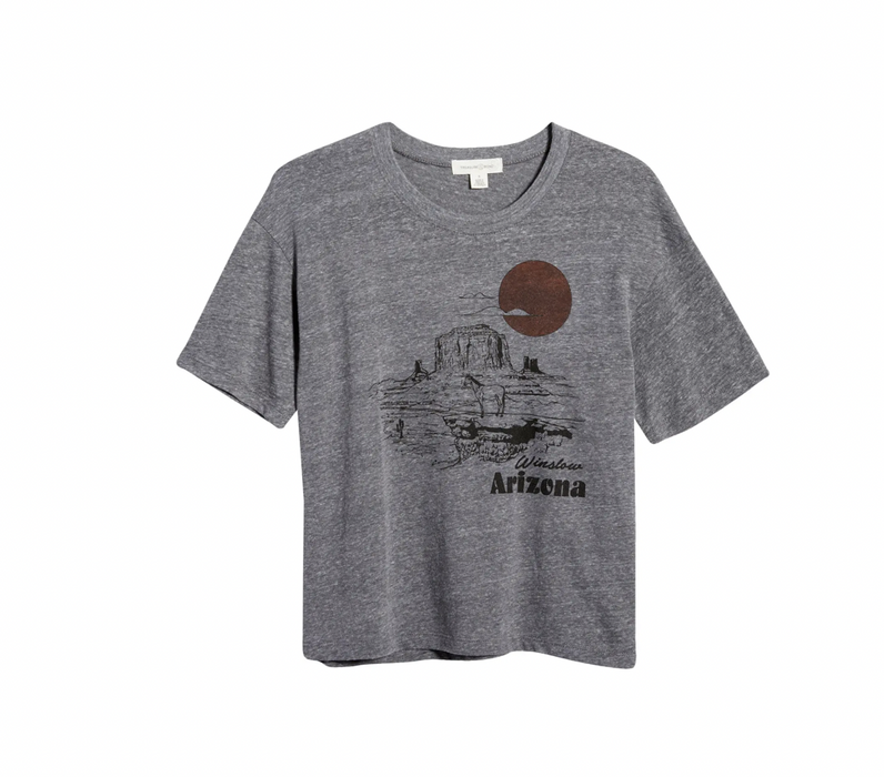 Treasure & Bond Winslow Arizona Graphic Tee In Grey Size XS