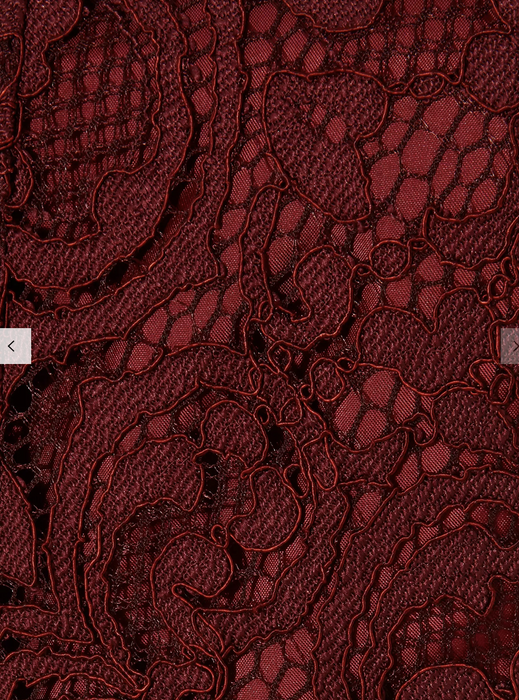 Phase Eight Women's Becky Sleeveless Lace Dress In Claret Red Size 12 US (16UK) Phase Eight Women's Becky Sleeveless Lace Dress In Claret Red Size 12 US (16UK)
