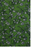 Pantalon court à jambe large à imprimé floral en viscose HINGE 129$ taille M en vert