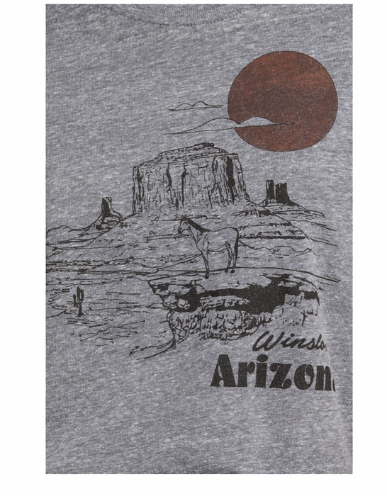 Treasure & Bond Winslow Arizona Graphic Tee In Grey Size XS